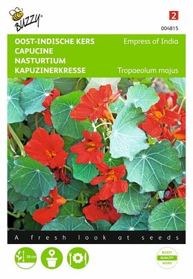 Nasturtium red flower seeds