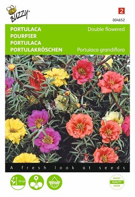 portulaca flower seeds