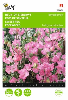 Pink Sweat Peas flower seeds