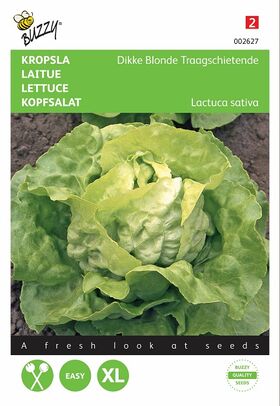 Lettuce seeds Paresseuse