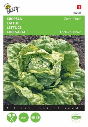 lettuce seeds