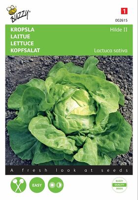 Lettuce seeds Hilde II