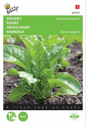 Green Perpetual Spinach seeds