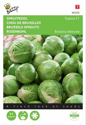 Brussels Sprouts Seeds hybrid