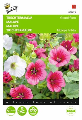 malope flower seeds