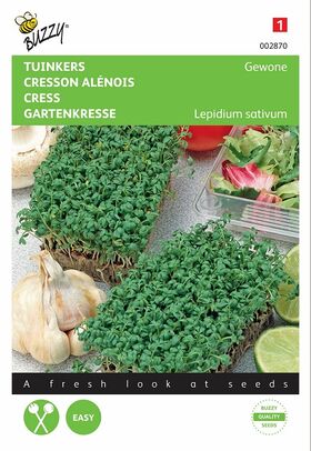 Cress Plain Seeds