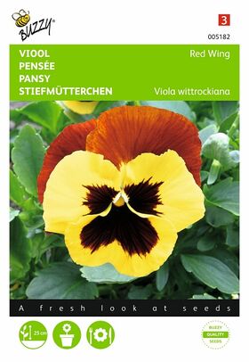 Pansy flower seeds