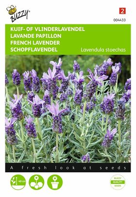 Topped Lavender flower seeds