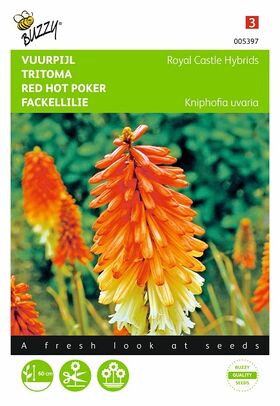 Red Hot Poker Flower Seeds