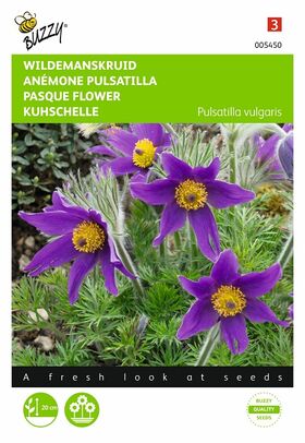 Pasque Flower seeds