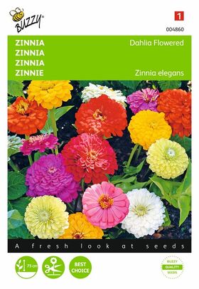 Zinnia Dahlia flower seeds