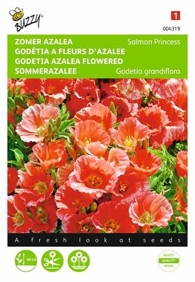 Godetia Azalea Flowered Seeds