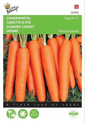 Summer Carrot Seeds F1