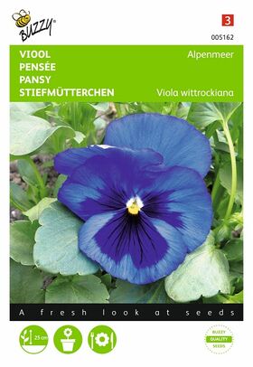 pansy seeds blue