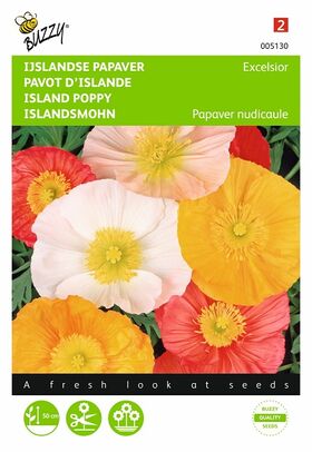 Island poppies flower seeds