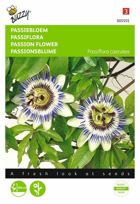 Passion Flower