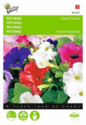 Petunia Dwarf Mixed