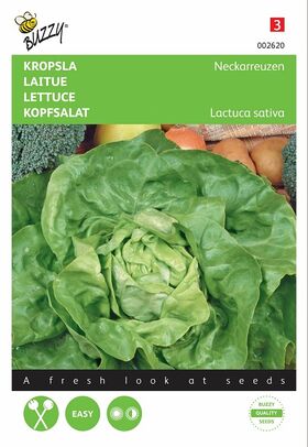 Lettuce Seeds Summerdiamond