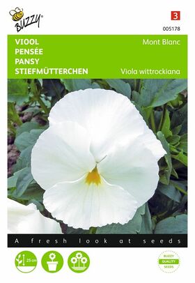 flower seeds of the white pansy