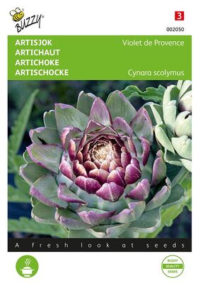 Artichoke 'Violet de Provence'