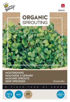 Organic Mustard Sprouts cut and Eat