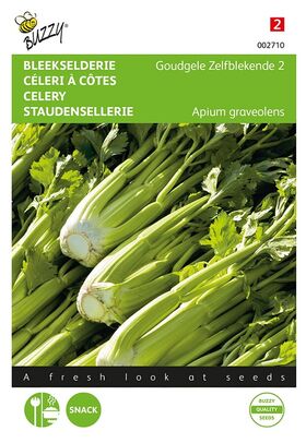 Celery Golden