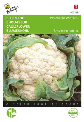 Cauliflower Walcheren