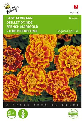 French Marigold Bolero