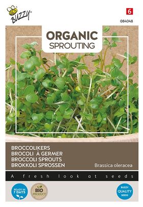 Organic Broccoli sprouts Cut and Eat