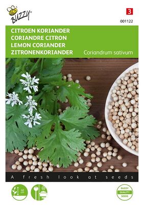 Coriander Lemon