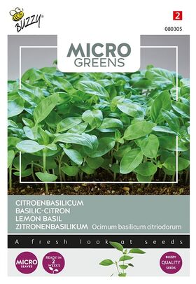 Microgreens Basilic Citron