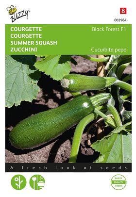 Squash Black Forest F1 hybrid