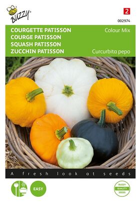 Squash Patisson Coulor Mix