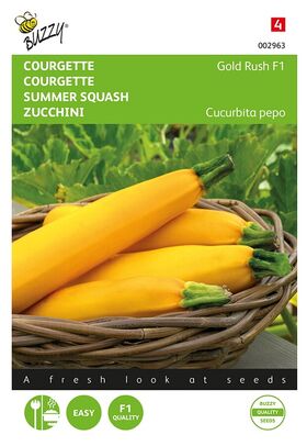 Summer Squash Gold Rush F1 hybride