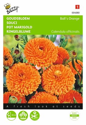 Pot Marigold,Ball's Orange