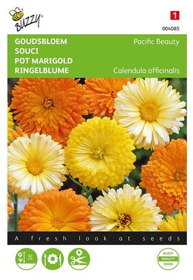 Pot Marigold Pacific Beauty mixed