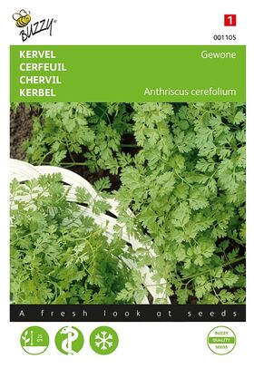 Chervil