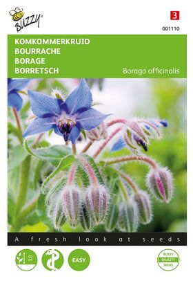 Borage