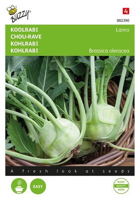 Kohlrabi Lanro, white