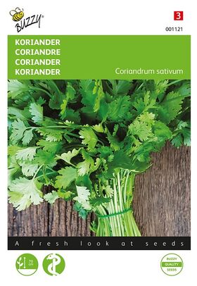 Coriander