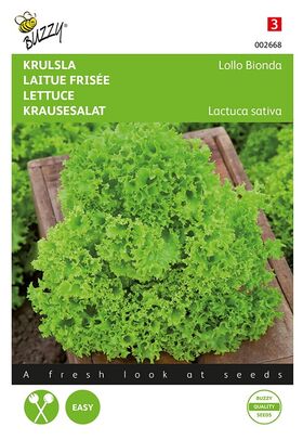 Lettuce Lollo Bionda