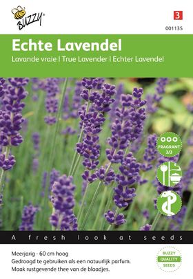 True Lavender