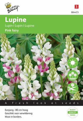 Lupin flower seeds pink fairy