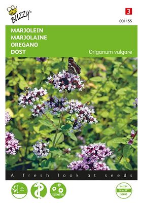 Perennial Marjoram