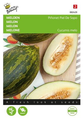 Melon Pinonet 'Piel de Sapo'