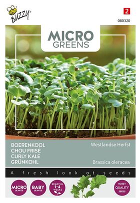 Microgreens Curly Kale