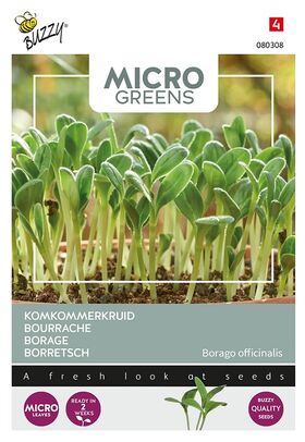 Microgreens Borage