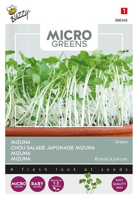Microgreens Mizuna Green