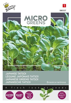 Microgreens Tatsoi