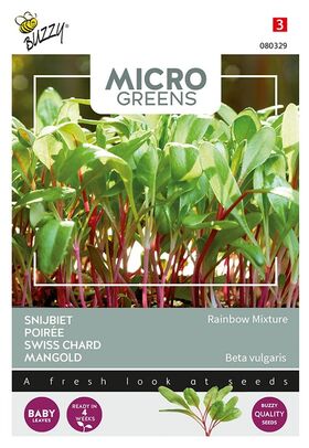 Microgreens Swiss Chard Rainbow mixture